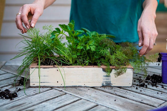 Some bunny's been in the herb garden | Easy Easter centerpiece idea - Hen House Linens